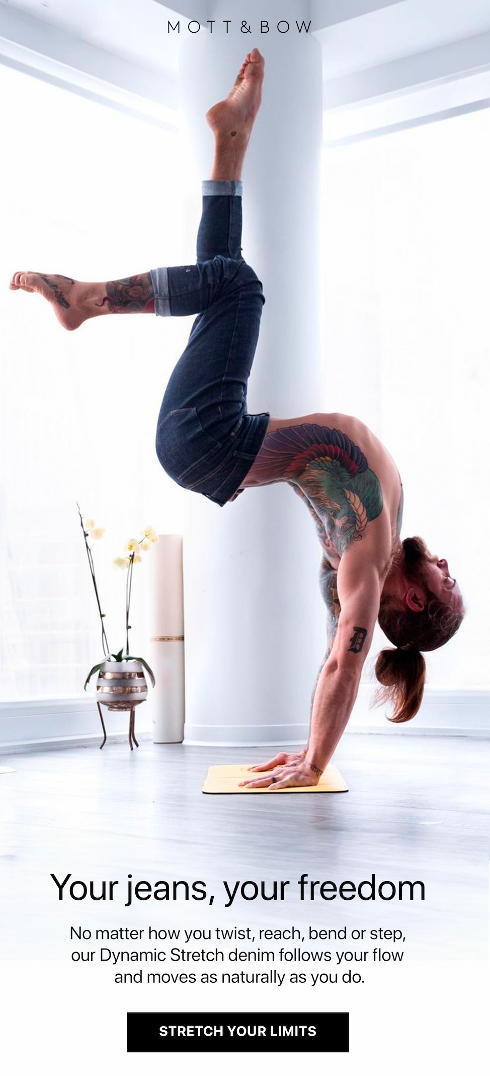 Mott & Bow - Dynamic Stretch