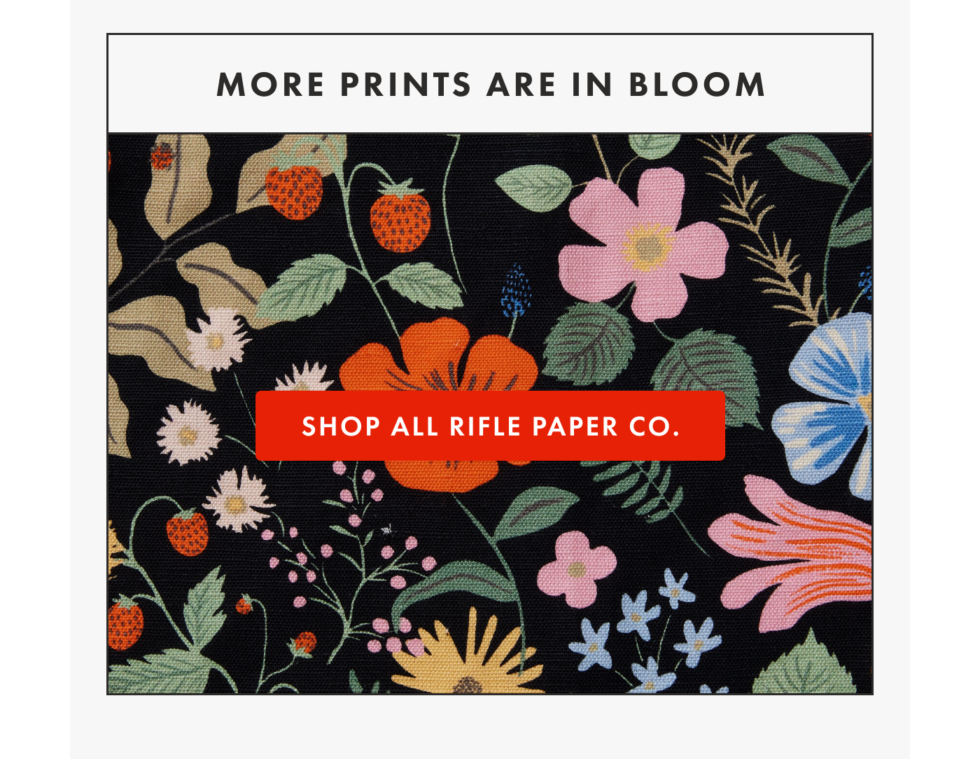 More Prints Are In Bloom | SHOP ALL RIFLE PAPER CO.