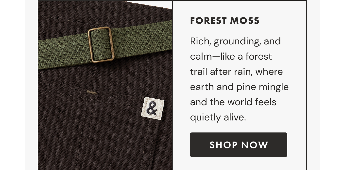 FOREST MOSS | Rich, grounding, and calm—like a forest trail after rain, where earth and pine mingle and the world feels quietly alive. | SHOP NOW
