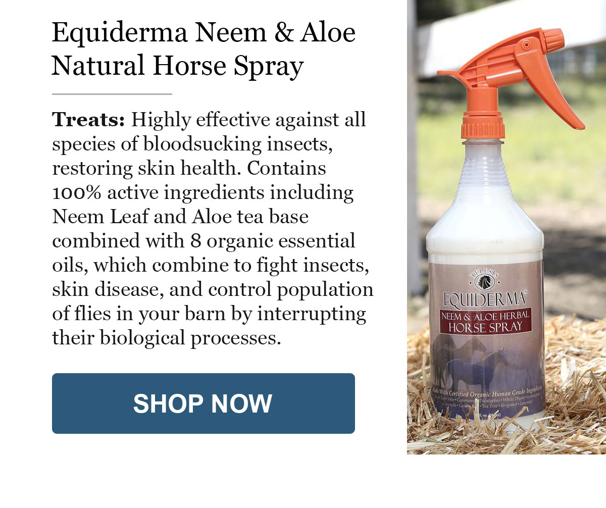 Horse Spray