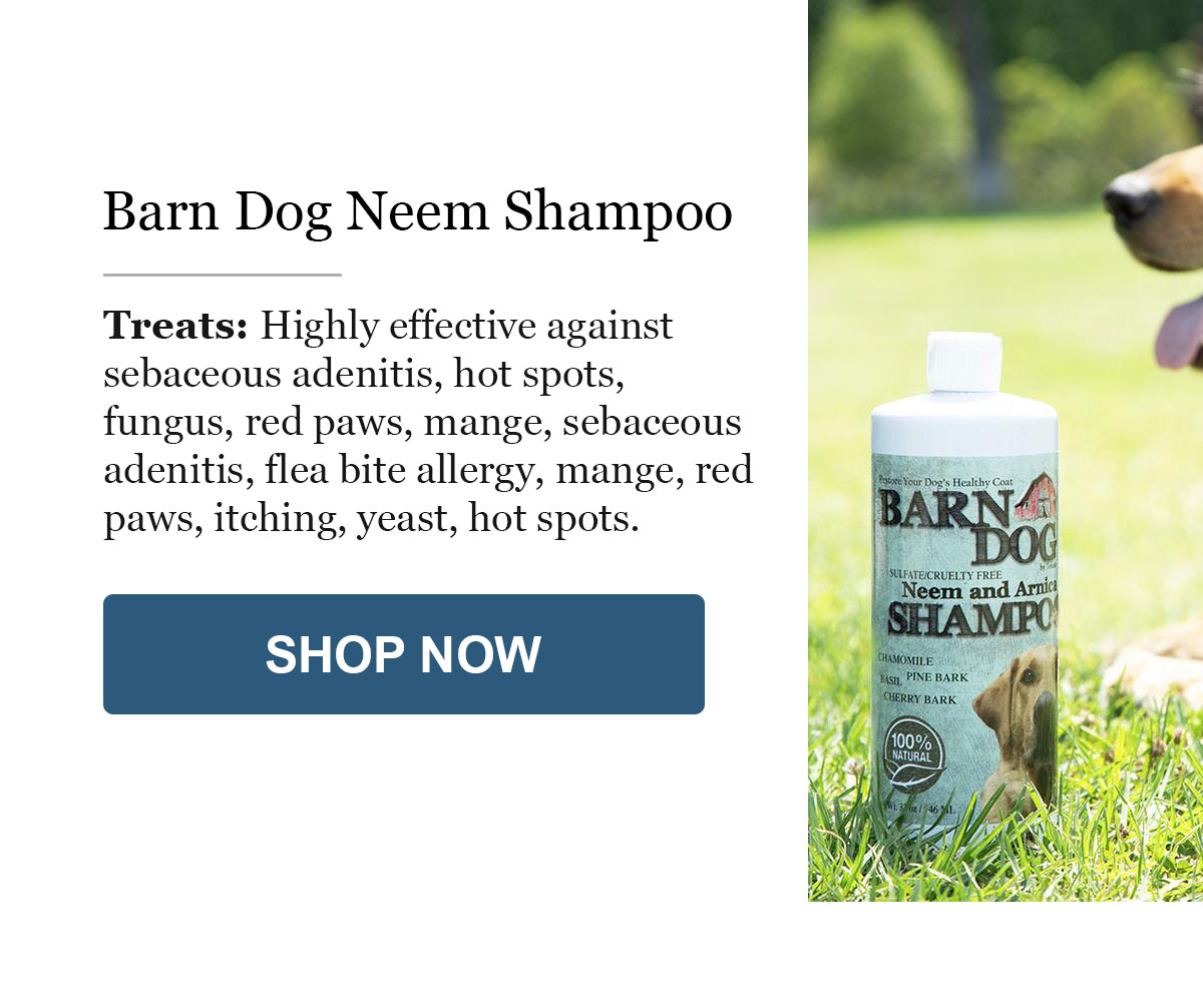 Neem Shampoo