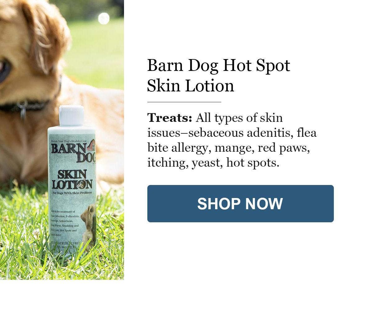 Skin Lotion
