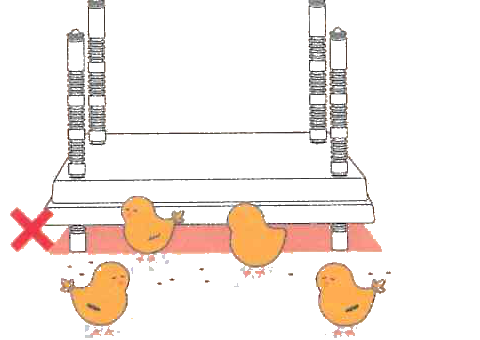 Chicks avoiding the plate, plate too low