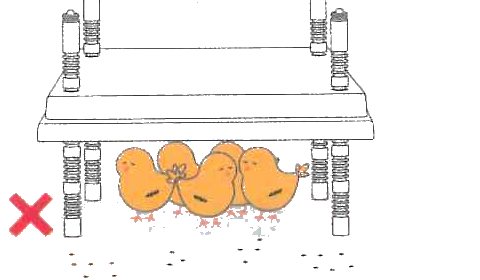 Chicks huddled and restless, plate too high