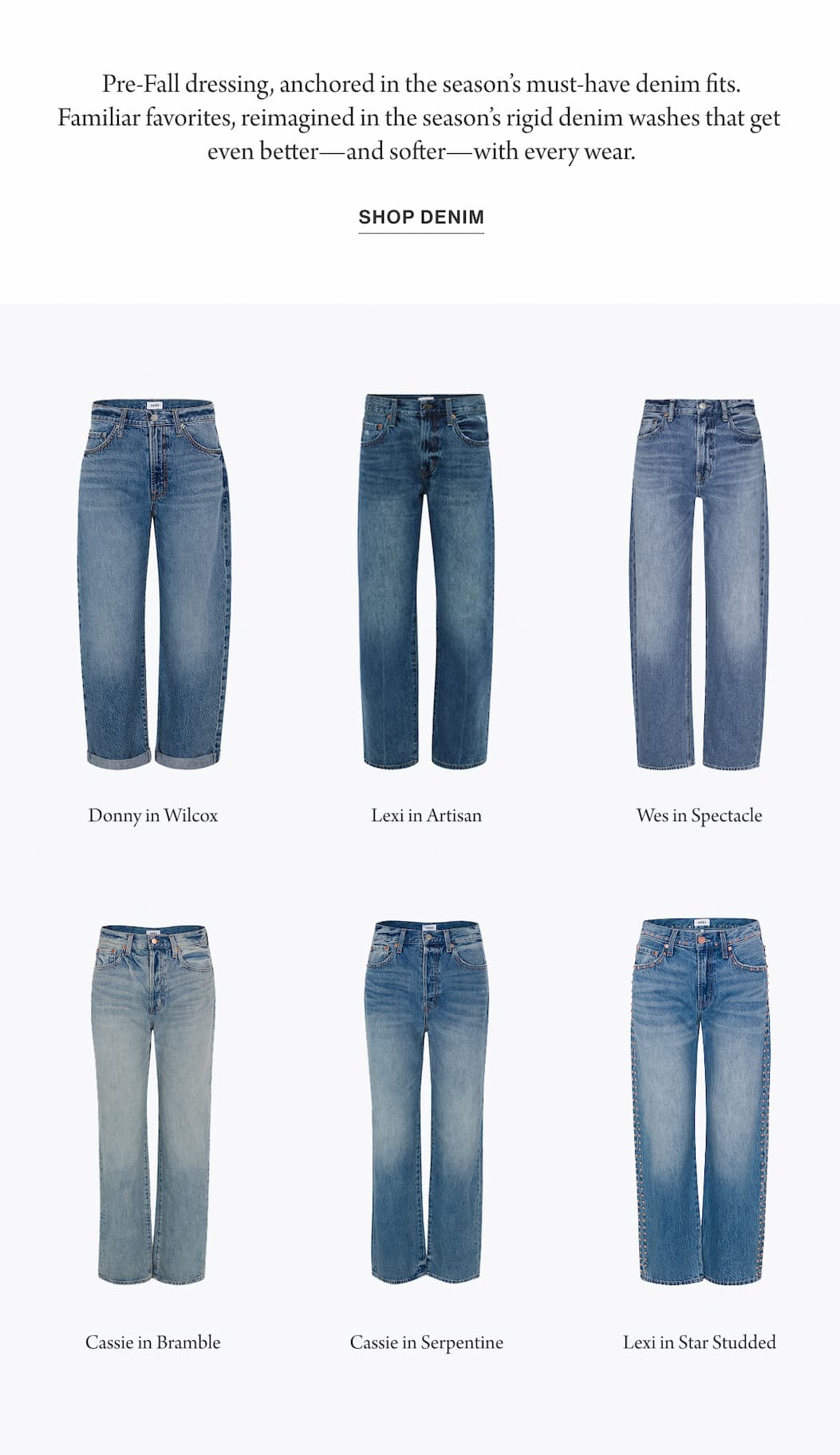 Shop Rigid Denim