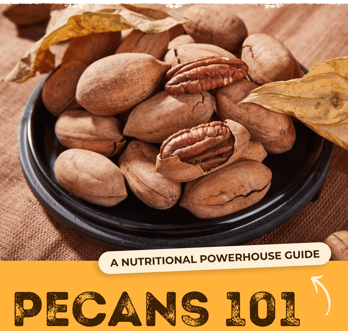 How Pecans Boost Health Nature's Garden