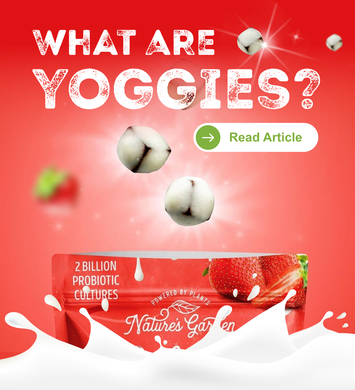 Probiotic Strawberry Yoggies Your Gut's Best Friend 🍓 Nature's Garden