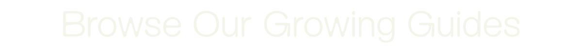 Browse out growing guides