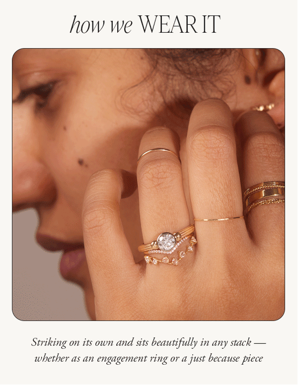 A NEW CLASSIC ARRIVES Catbird