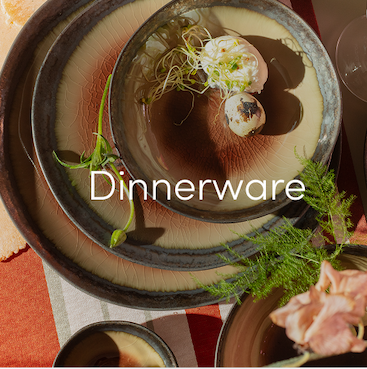 Shop Dinnerware