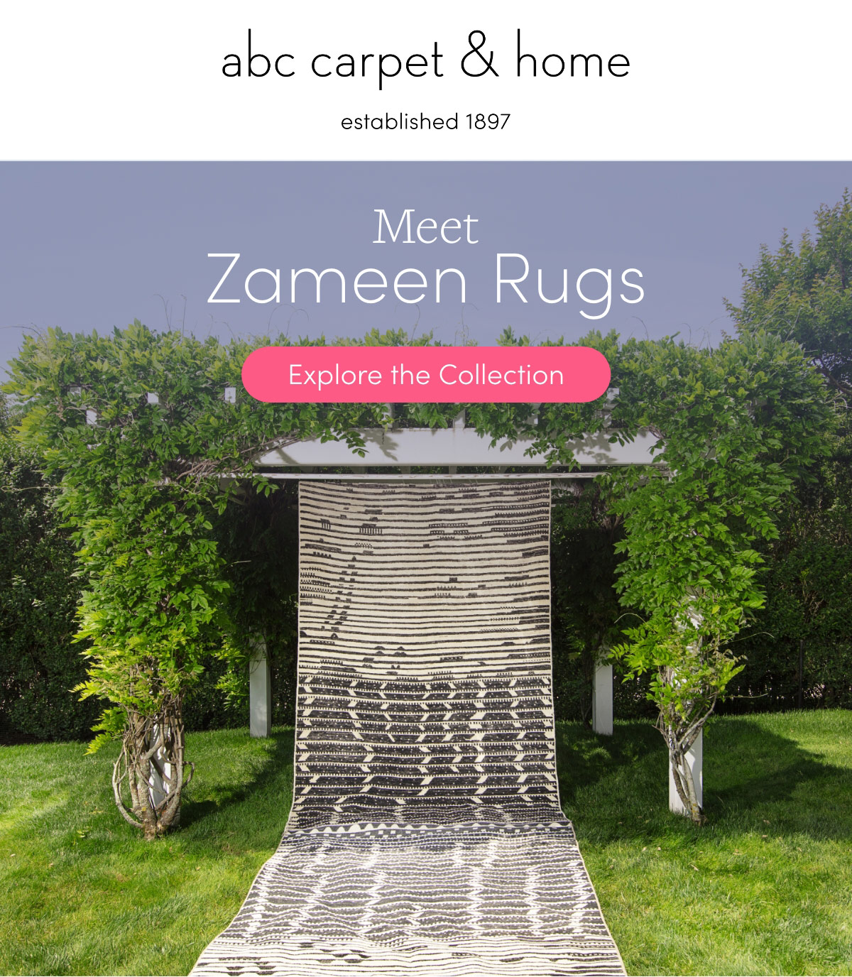 meet zamen rugs