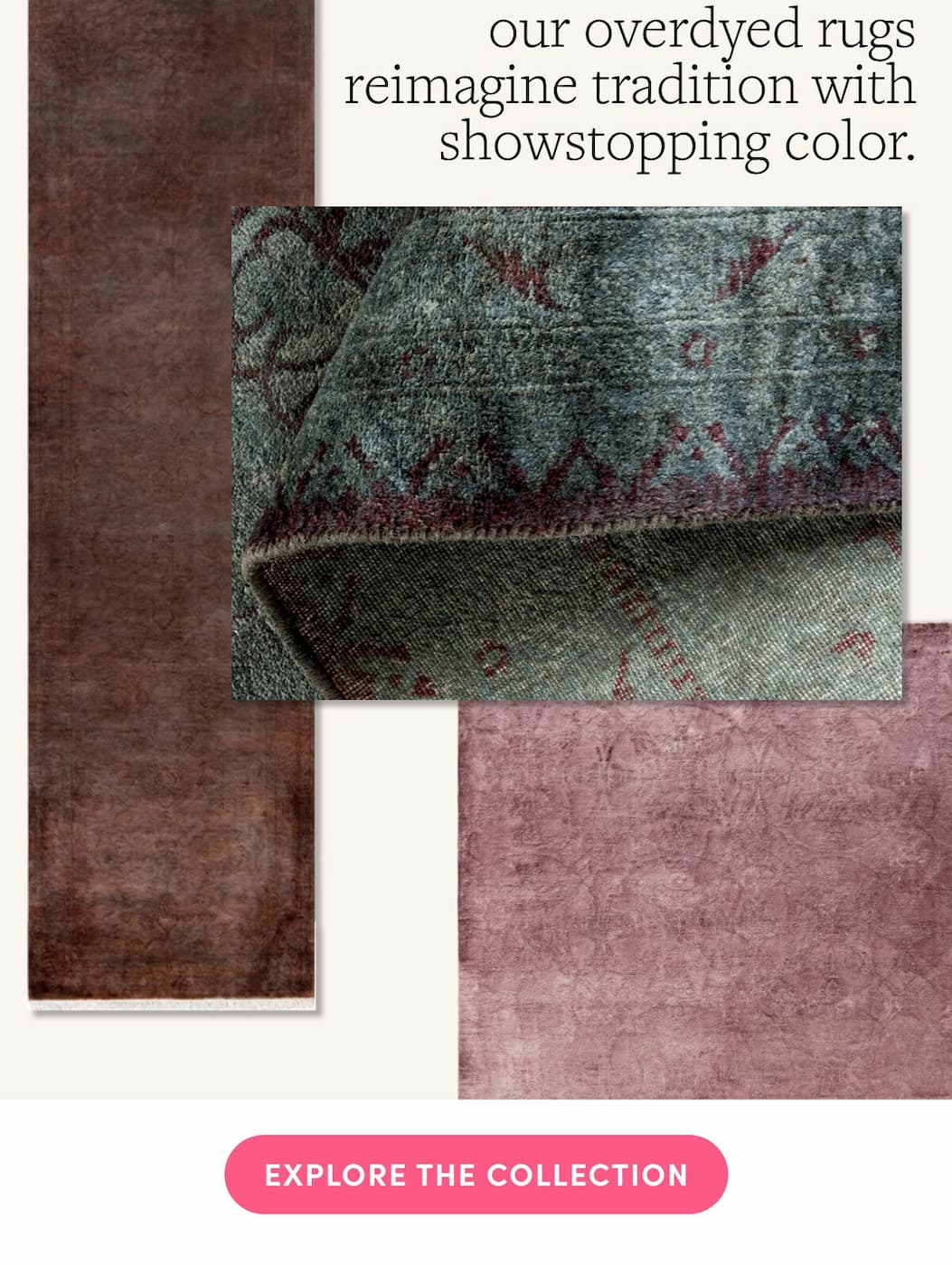 Explore the Collection