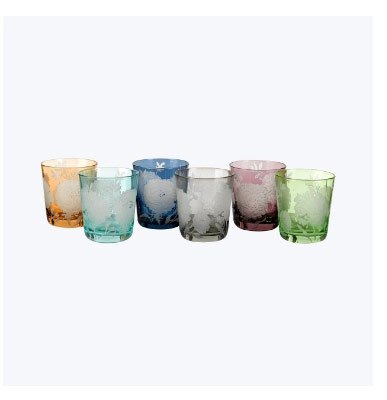 Peony multicolor tumbler glasses