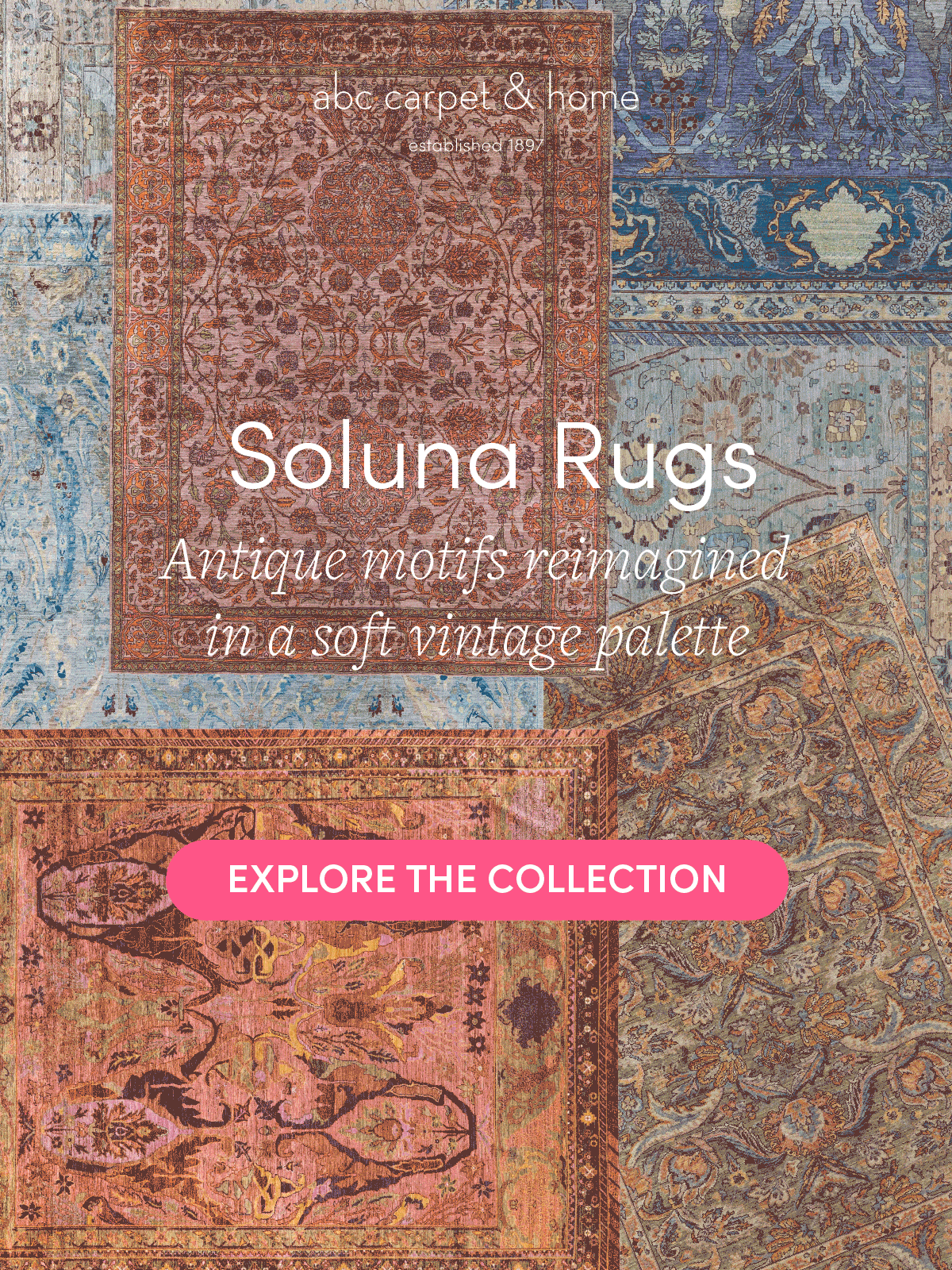 Explore the Collection