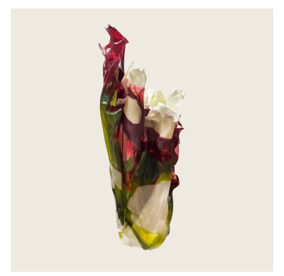 Caroline Zimbalist Harvest Bloom Bioplastic Vessel