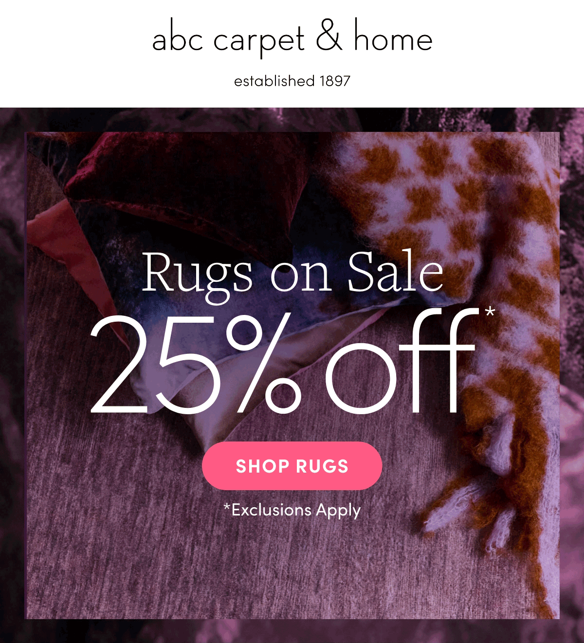 Shop Rugs On Sale