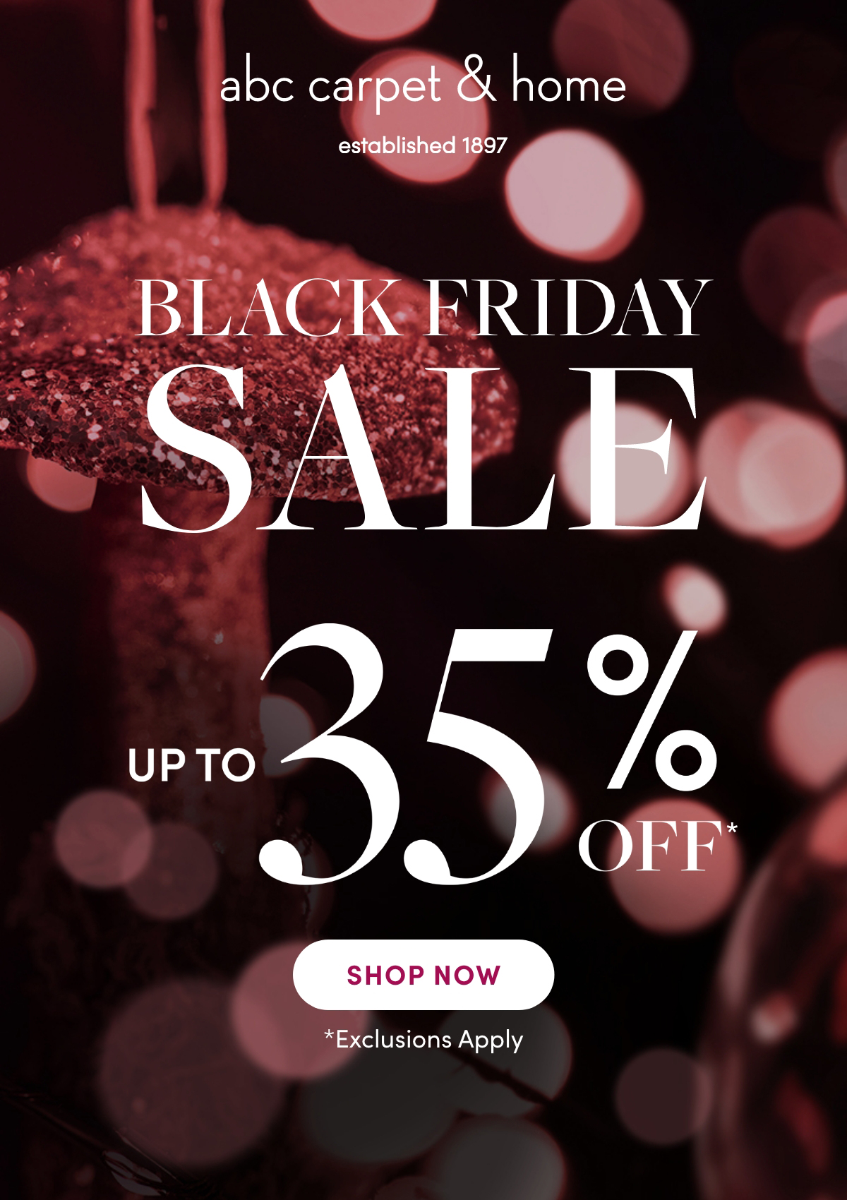 ✨Black Friday Sale✨