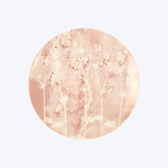 Botanique Dinner Plate