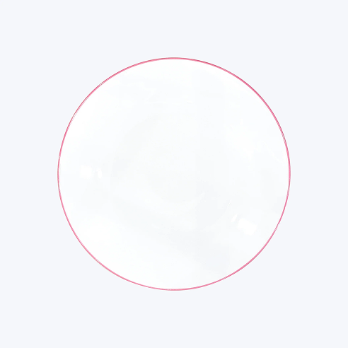 Concorde Buffet Plate