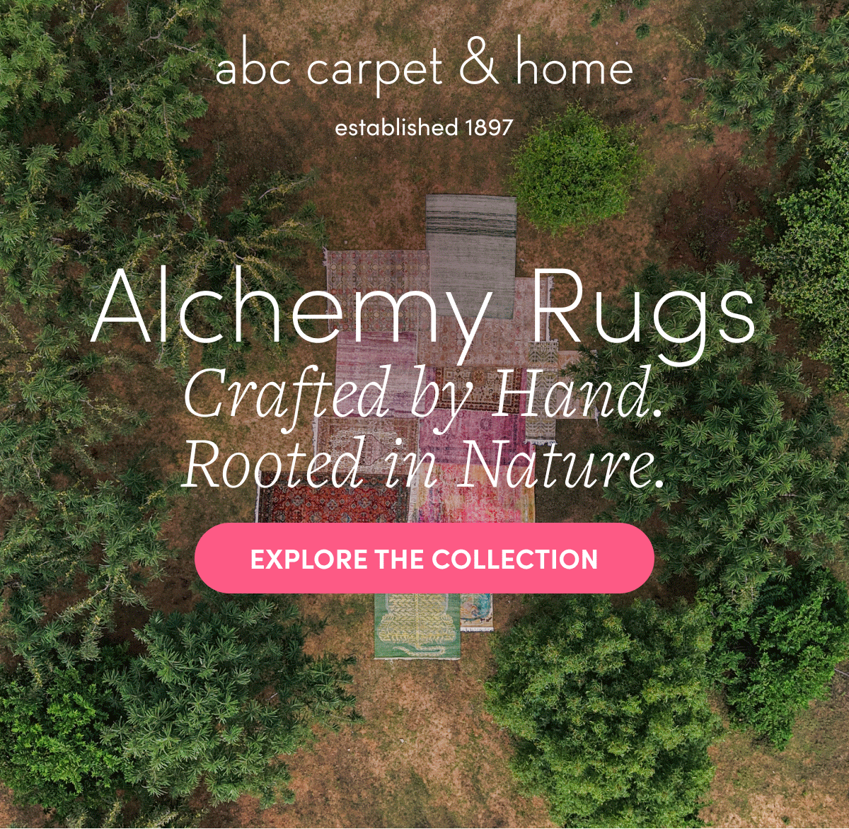 Explore the Collection