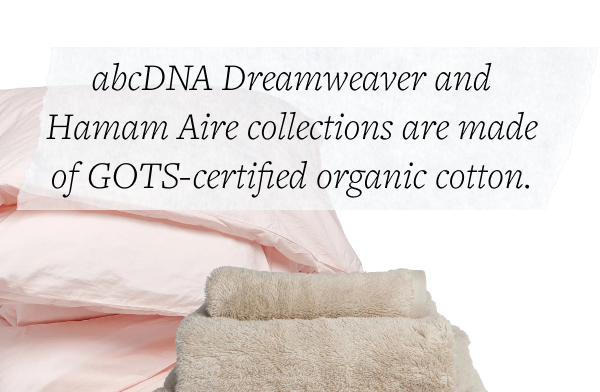 Dreamweaver Organic Cotton Percale Duvet Cover