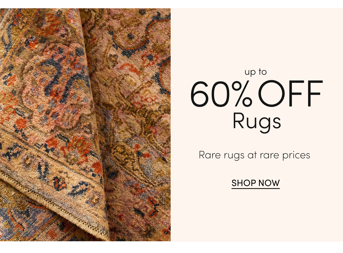 Shop Rugs on Sale