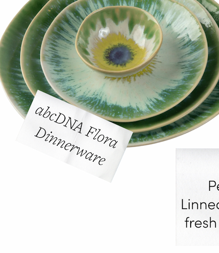 abcDNA Flora Dinner Plate - Dahlia