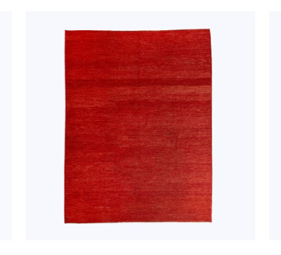 red zameen 