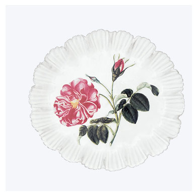John Derian for Astier de Villatte Rose Dinner Plate