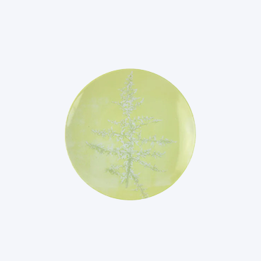 Botanique Dessert Plate