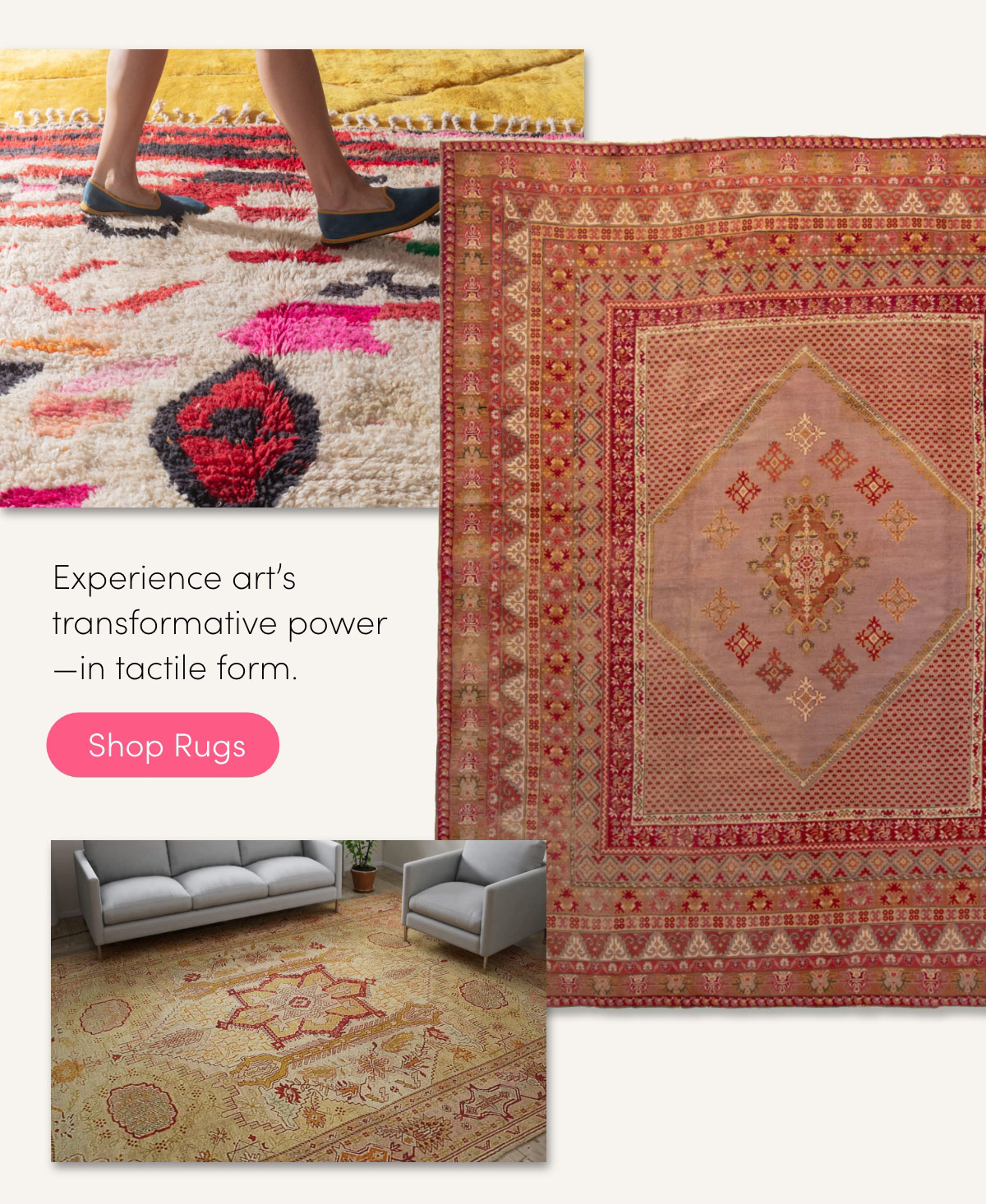 shop rugs