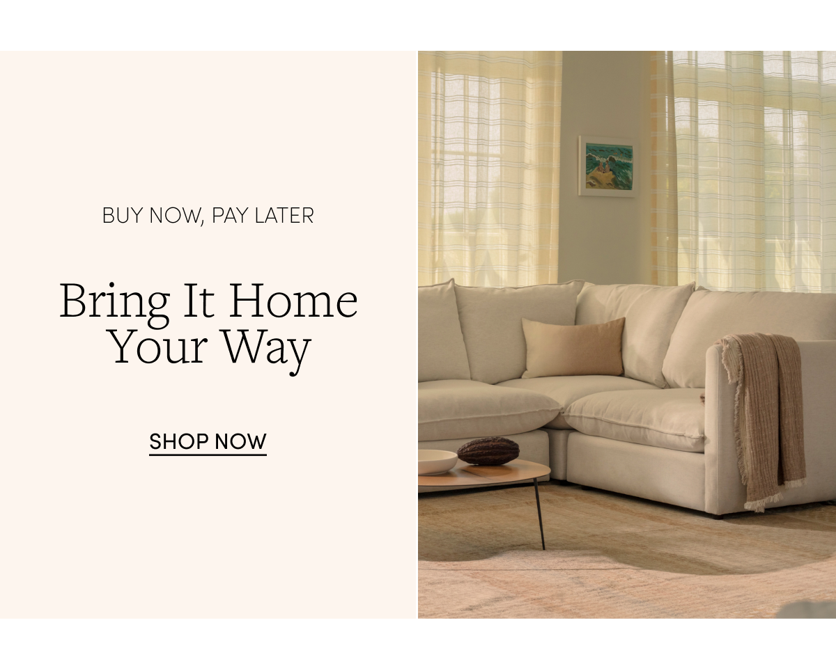 Buy Now, Pay Later