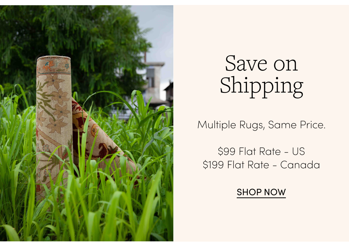 Shop All Rugs