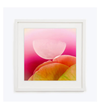Venus Kisses the Moon, Framed Giclee Print
