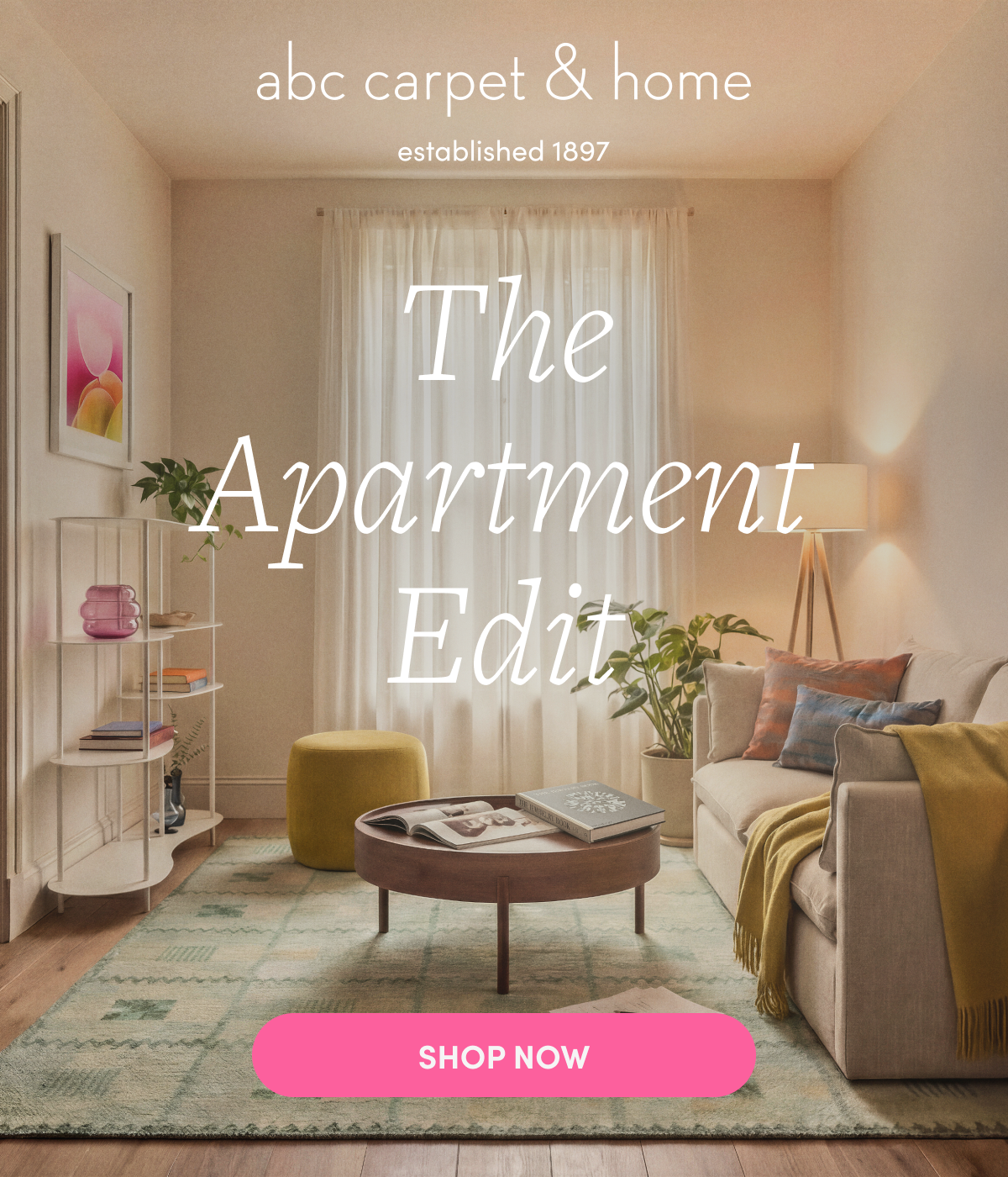 Apartment with Flatiron shelving, Cobble Hill sofa and Ottoman, Swedish rug, and accessories