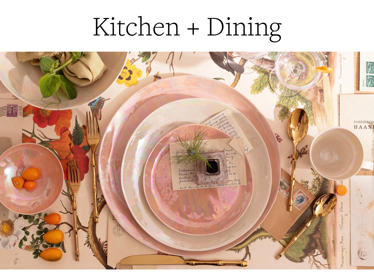 Kitchen + Dining
