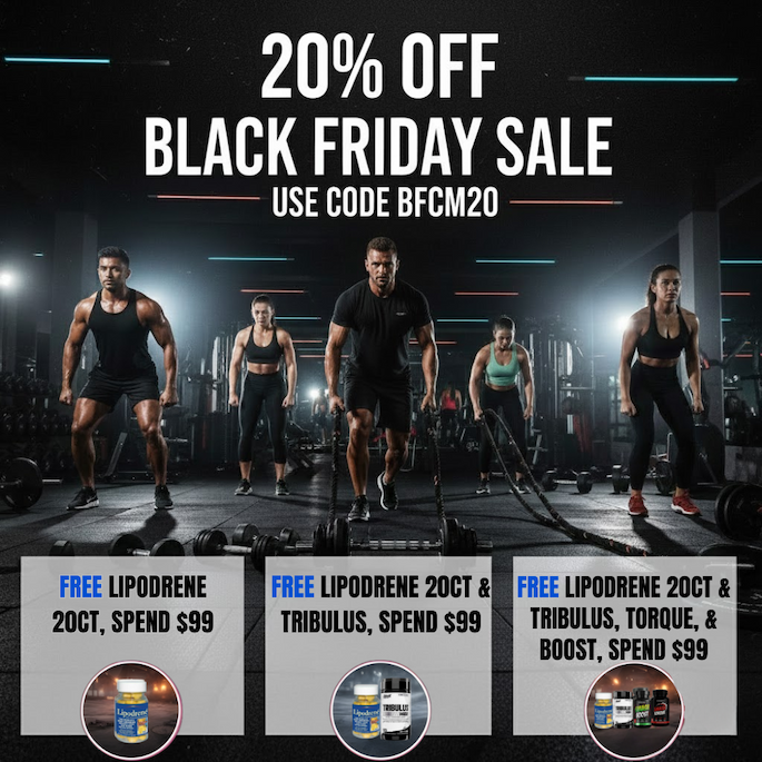 Black Friday Sale