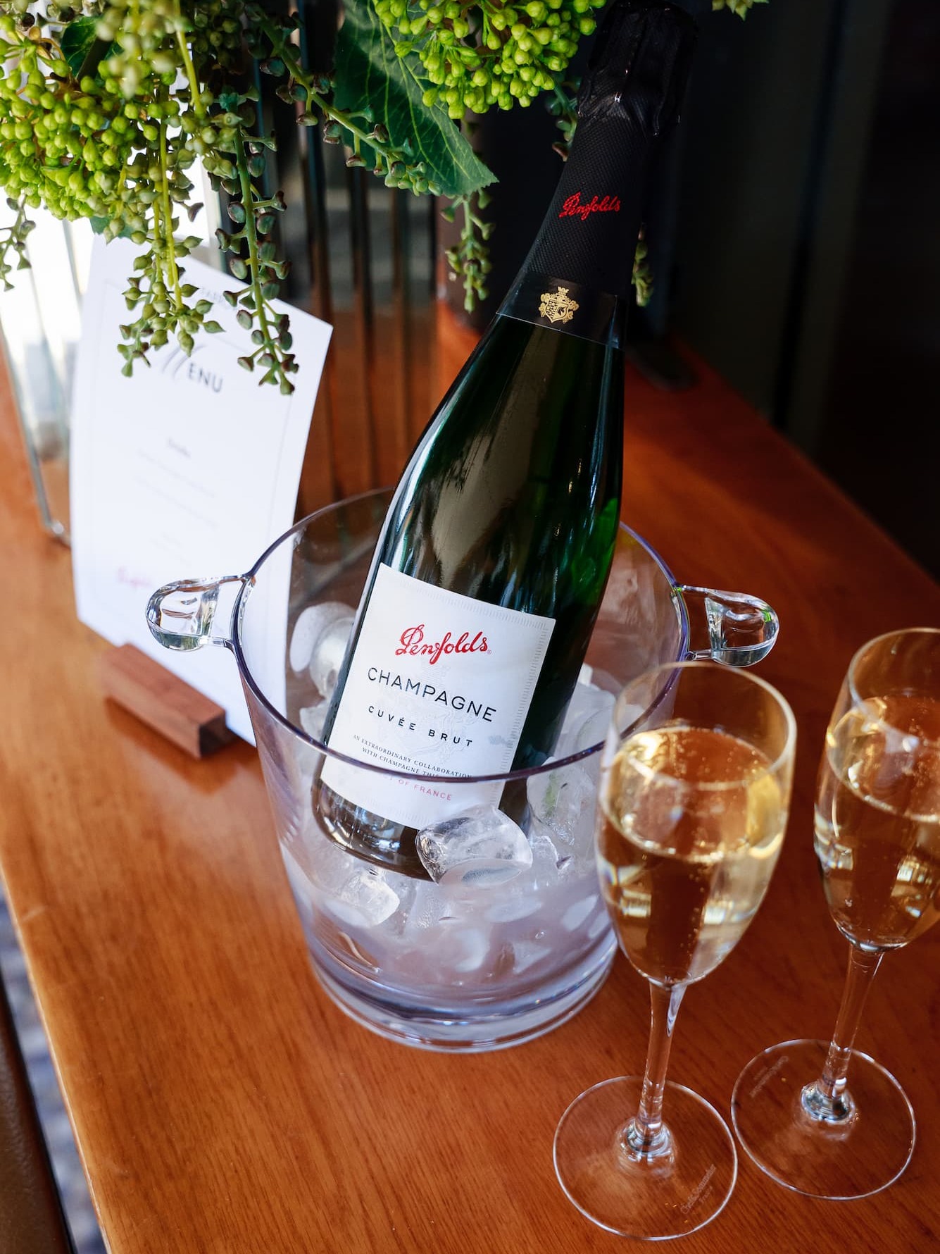 CMAPAGNE PENFOLDS