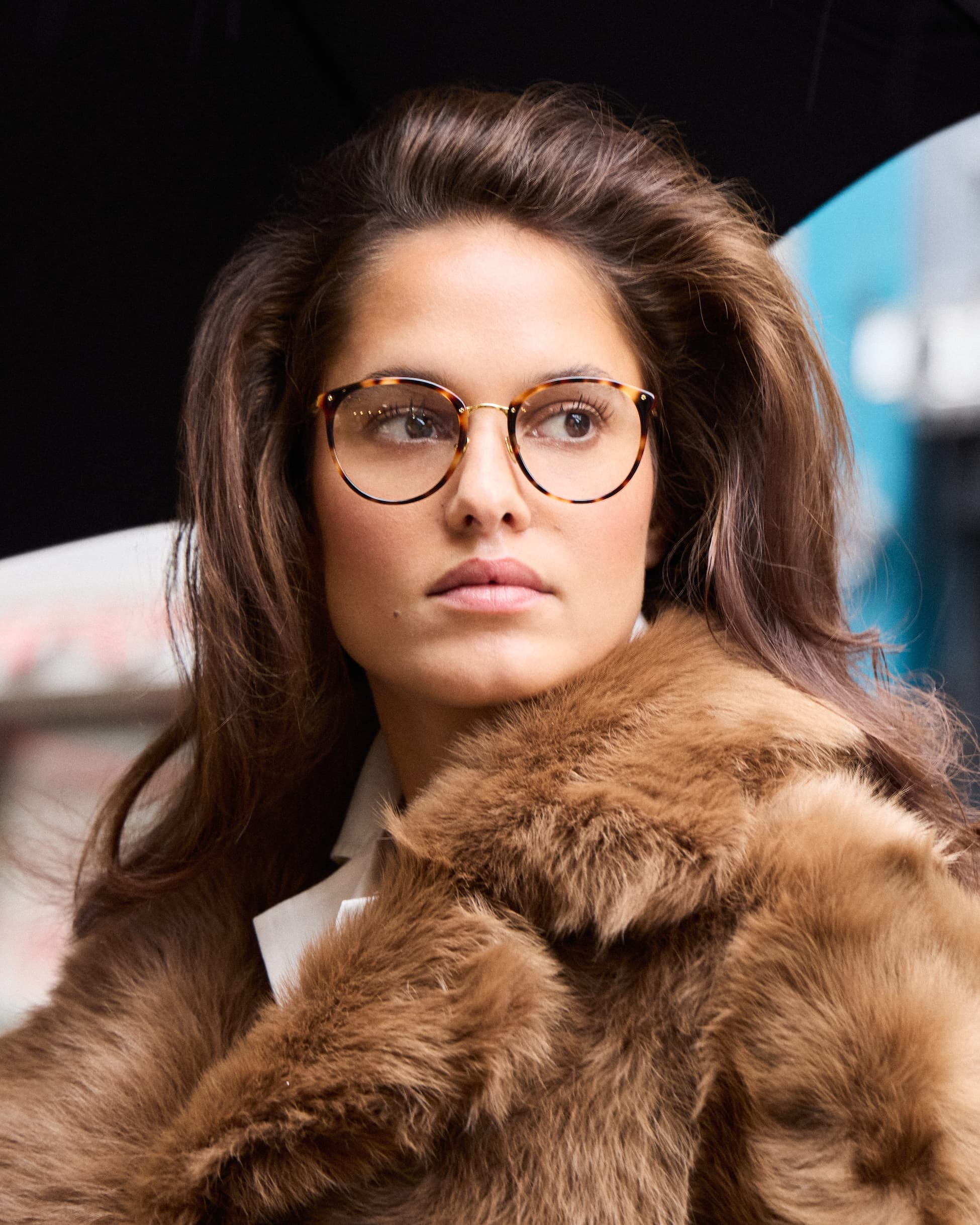 Calthorpe in Tortoiseshell