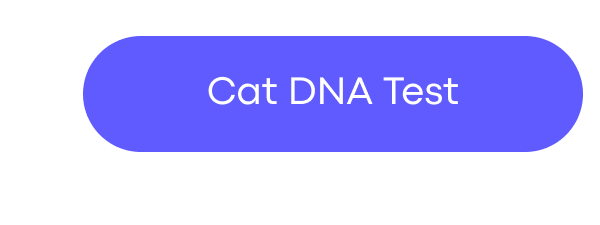 Cat DNA Test