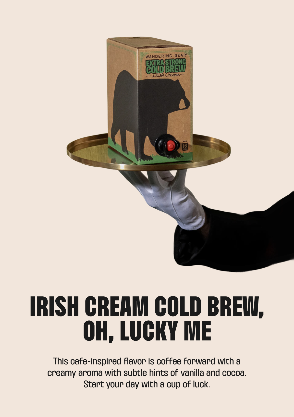 Shop Irish Cream Cold Brew
