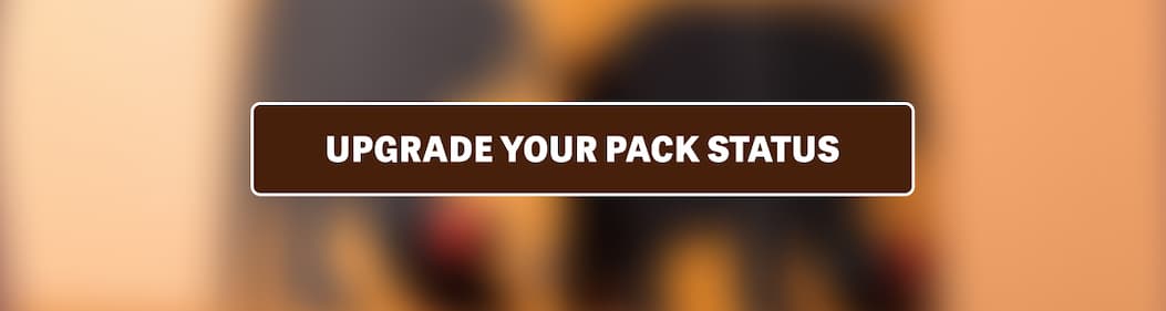 UPGRADE YOUR PACK STATUS
