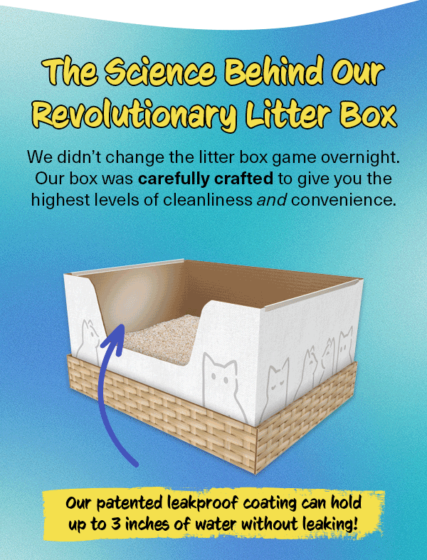How can a cardboard box work as a litter box? 🙀 Kitty Poo Club