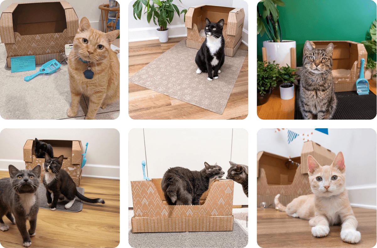 Save the one scoop at a time 🌎 🐾 Kitty Poo Club