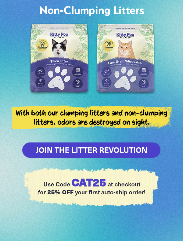 How can a cardboard box work as a litter box? 🙀 Kitty Poo Club
