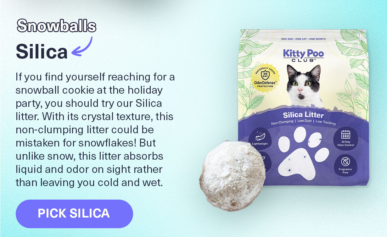 Kitty Poo Club has the recipe for the perfect litter box. 👀 Kitty Poo