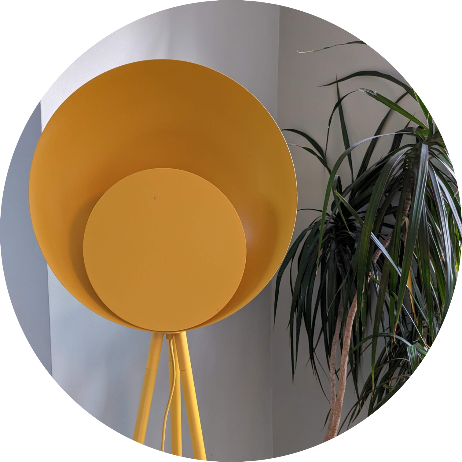 Spotlight hello yellow diffuser floor lamp 🌼 houseof