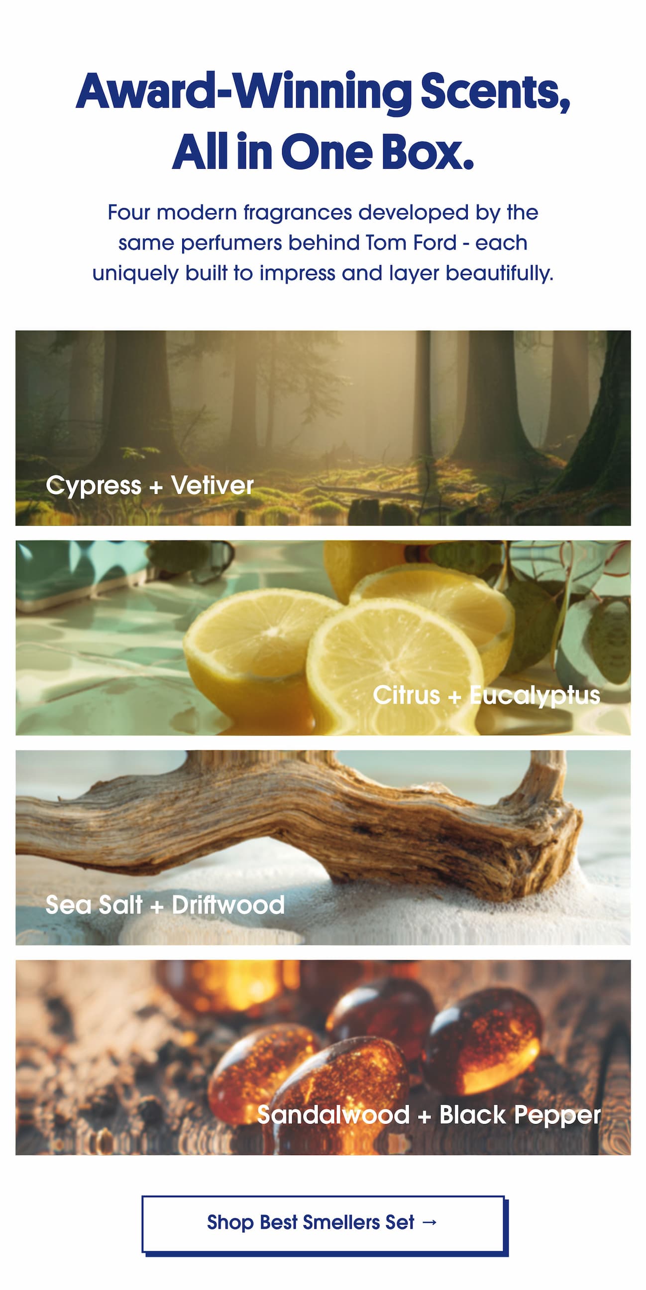 Award-Winning Scents, All in One Box.