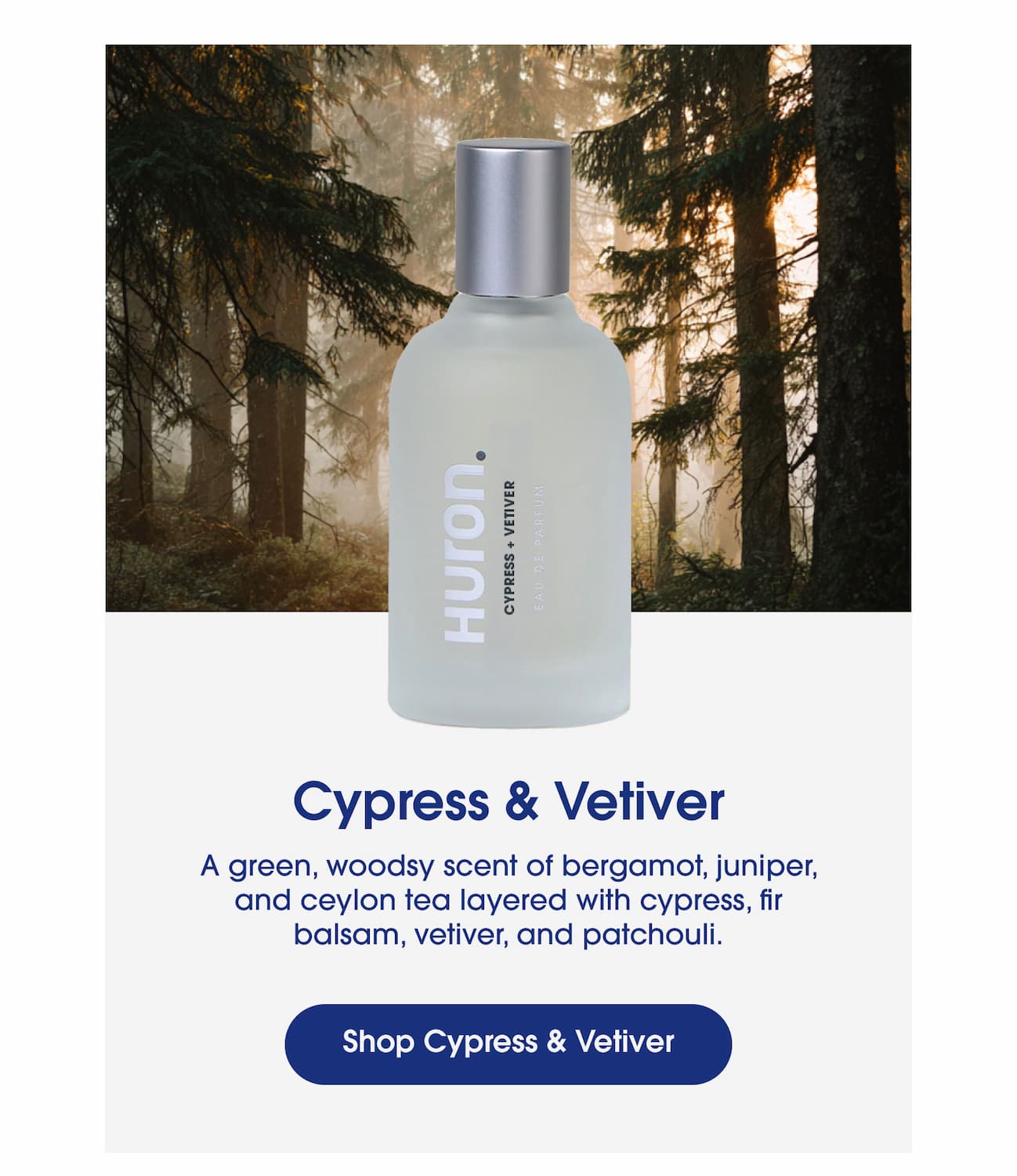 Cypress & Vetiver