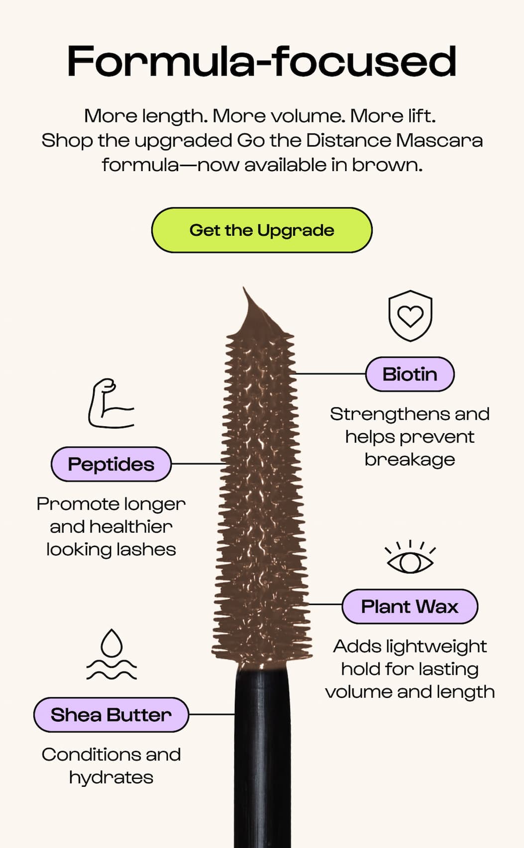 New Brown Mascara